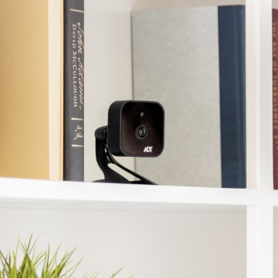 Mesa indoor security camera